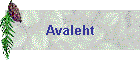 Avaleht