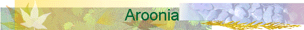 Aroonia