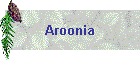 Aroonia