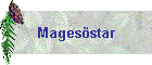 Magesstar