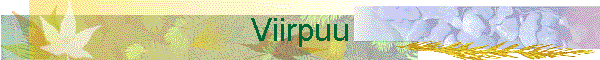 Viirpuu