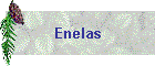 Enelas