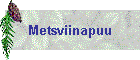 Metsviinapuu